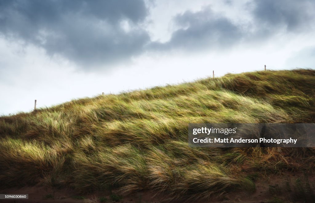 Fermoyle Fences and Fields #3