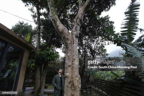 Big Wave Bay resident Ally Whittle, with her Aquilaria Sinensis agarwood tree. 21JAN16 SCMP/Jonathan Wong