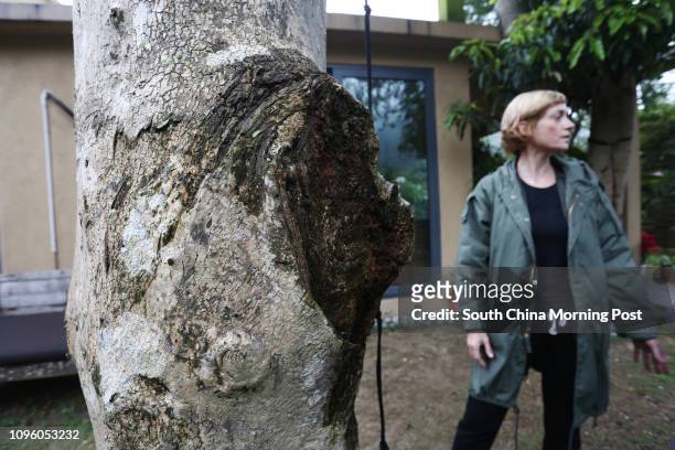 Big Wave Bay resident Ally Whittle, with her Aquilaria Sinensis agarwood tree. 21JAN16 SCMP/Jonathan Wong