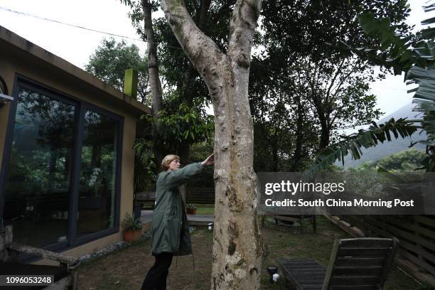 Big Wave Bay resident Ally Whittle, with her Aquilaria Sinensis agarwood tree. 21JAN16 SCMP/Jonathan Wong