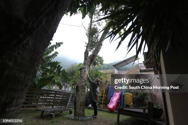 Big Wave Bay resident Ally Whittle, with her Aquilaria Sinensis agarwood tree. 21JAN16 SCMP/Jonathan Wong