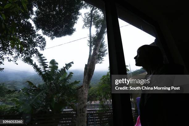 Big Wave Bay resident Ally Whittle, with her Aquilaria Sinensis agarwood tree. 21JAN16 SCMP/Jonathan Wong