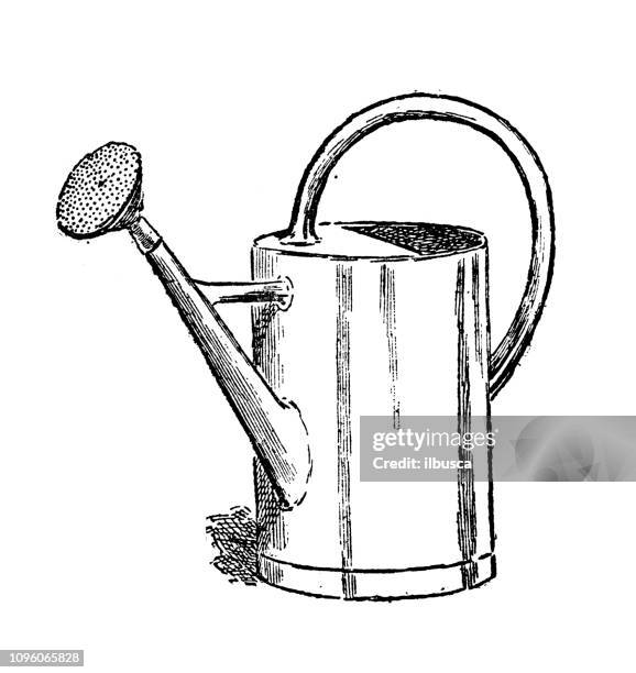 antike alte französische gravurillustration: gießdose - watering can stock-grafiken, -clipart, -cartoons und -symbole