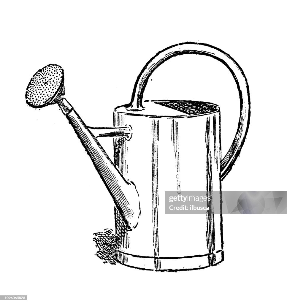 Antique old French engraving illustration: Watering can
