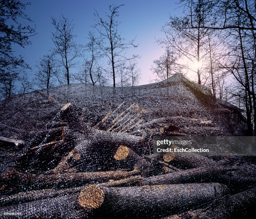 Edge of a forest with heap of cut logs under black netting