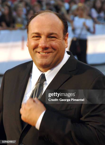 James Gandolfini John Turturro, director and screenwriter