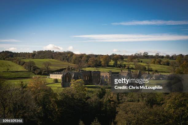egglestone abbey - barnard castle stock pictures, royalty-free photos & images