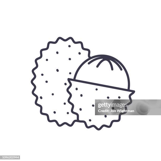 lychee fruit thin line icon - lychee stock illustrations