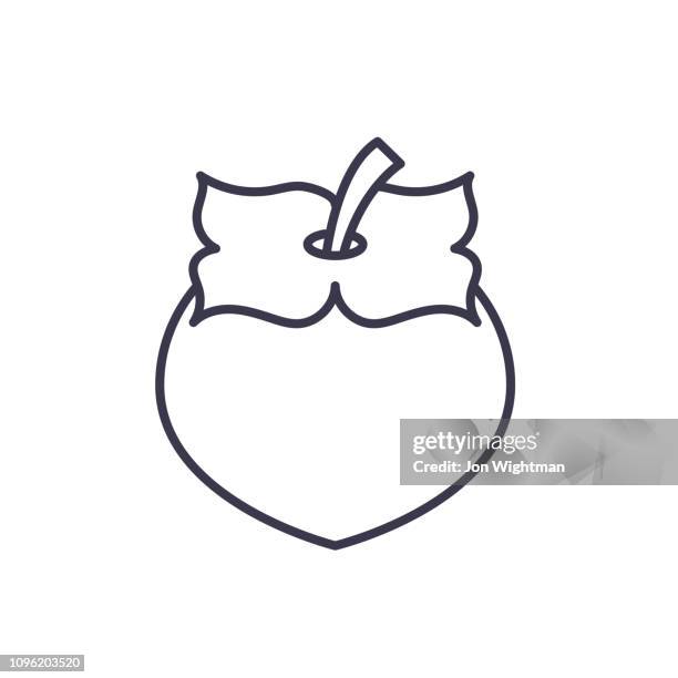 93点の柿イラスト素材 Getty Images 93点の柿イラスト素材 Getty Images