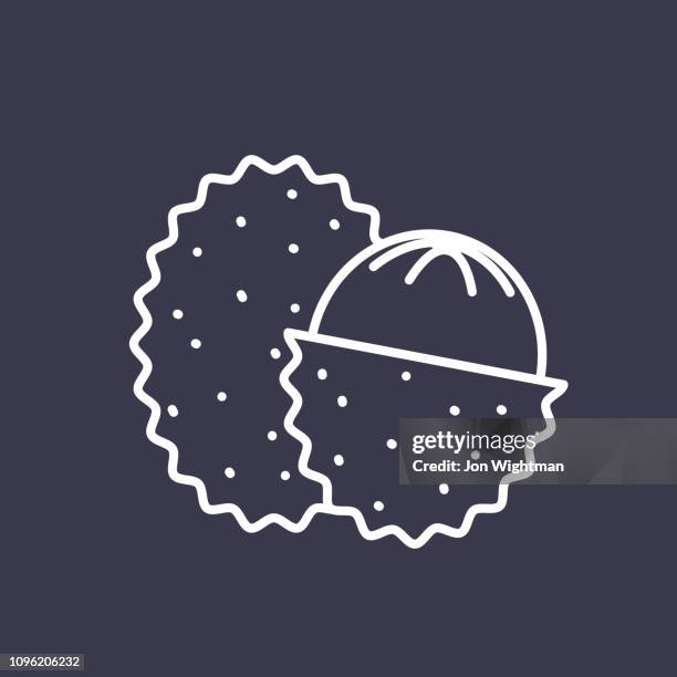 lychee fruit thin line icon - lychee stock illustrations