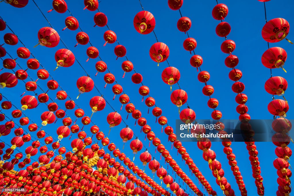 Paper lanterns hanging for Chinese New Year celebration.