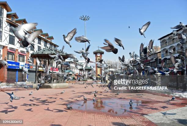 Pigeons fly during a one-day strike called by Kashmiri seperatists in Srinagar on February 9, 2019. - The separatist alliance All Parties Hurriayt...
