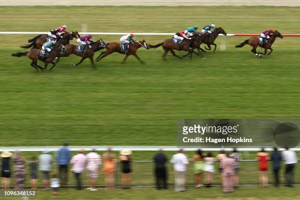 Horses race in the Cambridge Stud Premier during NZCIS Wellington Cup Day at Trentham Racecourse on January 19, 2019 in Wellington, New Zealand.