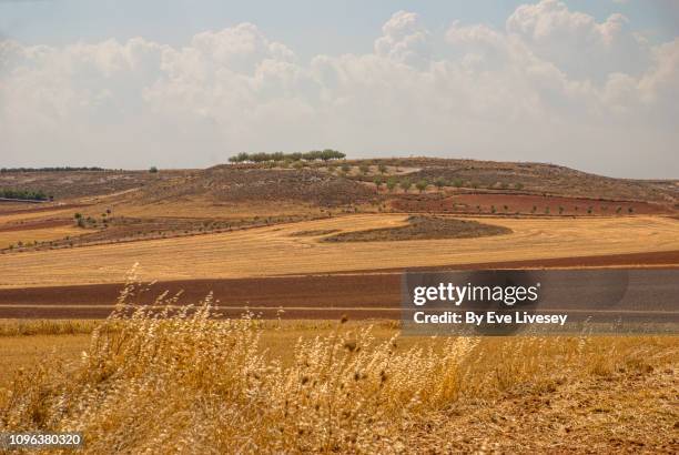 la mancha plain - la mancha 個照片及圖片檔