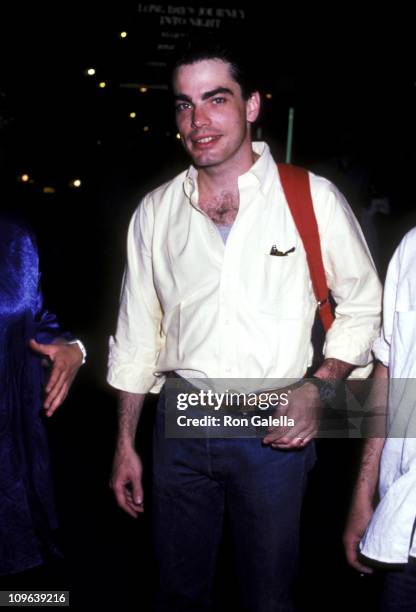 Peter Gallagher during Play Performance of "Long Day's Journey Into Night" - June 26, 1986 at Broadhurst Theatre in New York City, New York, United...