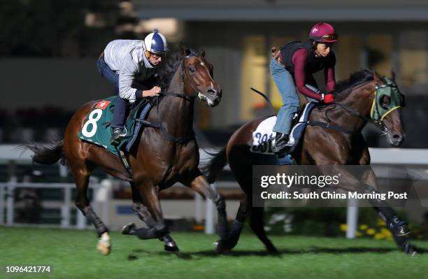 Ridden by Hugh Bowman galloping on the turf at Sha Tin. 08DEC16