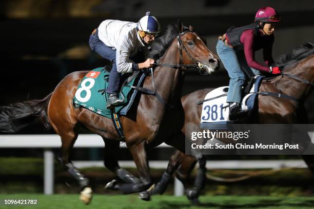 Ridden by Hugh Bowman galloping on the turf at Sha Tin. 08DEC16