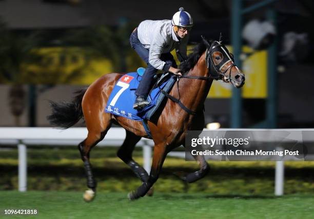 Ridden by Hugh Bowman galloping on the turf at Sha Tin. 08DEC16