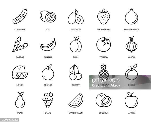 illustrations, cliparts, dessins animés et icônes de fruits et légumes icon set - pastèque