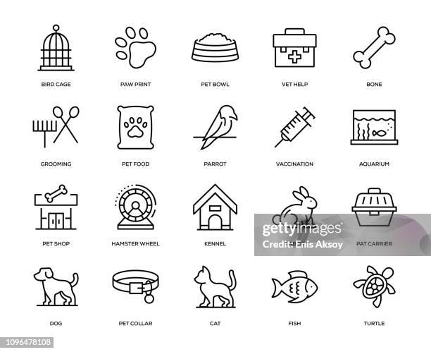 illustrazioni stock, clip art, cartoni animati e icone di tendenza di set di icone per animali domestici - prodotti per animali domestici