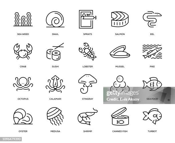 stockillustraties, clipart, cartoons en iconen met zee voedsel icon set - algae