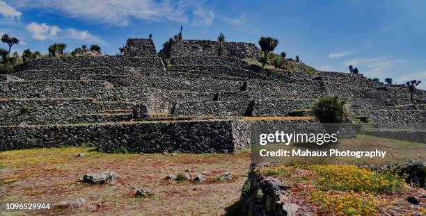 discovery of the prehispanic archeological site of cantona , mexico. - cantona stock pictures, royalty-free photos & images