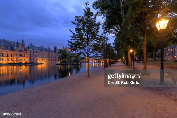 dutch houses of parliament ( binnenhof ) reflected in the court pond ( hofvijver )  at night - binnenhof stock pictures, royalty-free photos & images