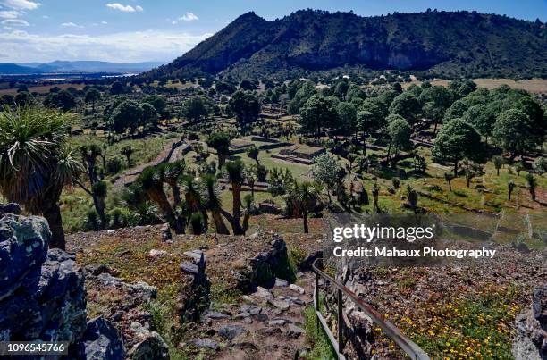 view over the prehispanic archaeological site of cantona, mexico,  since the acropolis. - cantona stock pictures, royalty-free photos & images