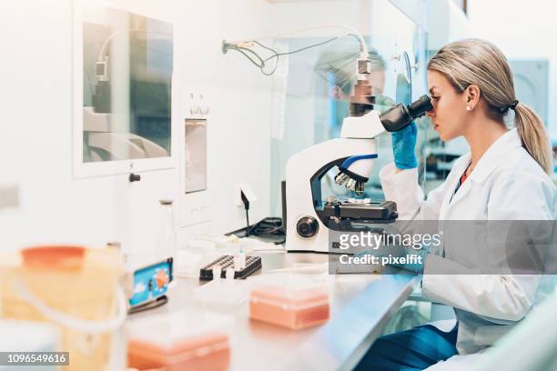 biochimica - stem cells human foto e immagini stock