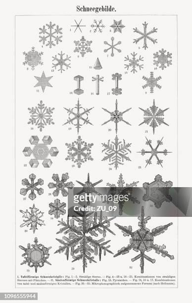 various shapes of snowflakes, wood engravings, published in 1897 - filigree stock illustrations