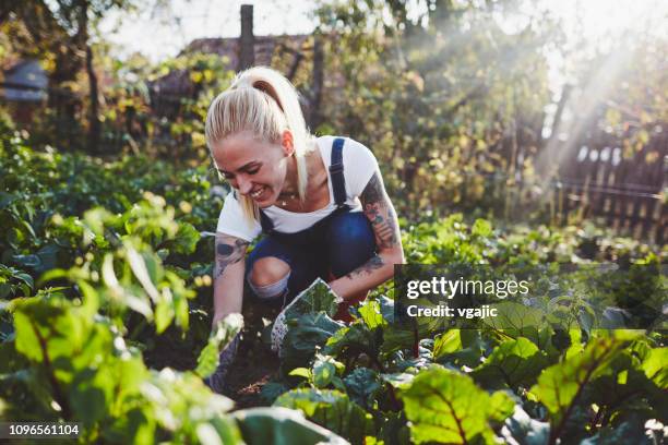 tätowierte frau landwirtschaft - frau und garten und gemüse stock-fotos und bilder