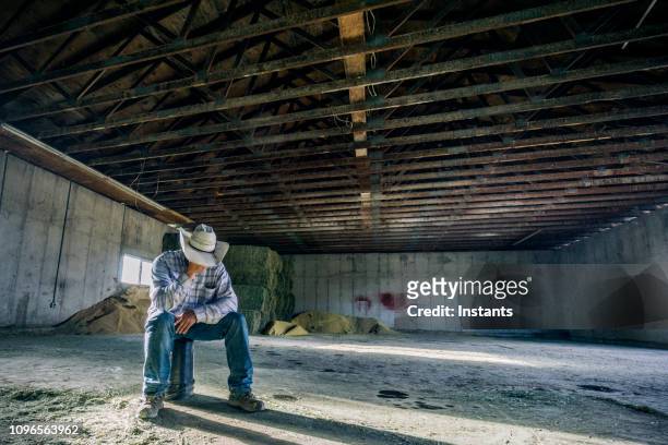 in einer scheune, einem verzweifelten aussehender mann sitzt ganz alleine auf einen eimer. - concerned farmers stock-fotos und bilder