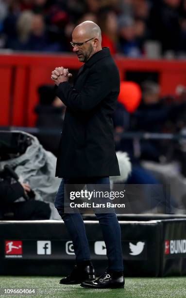 Head coach Peter Bosz gestures during the Bundesliga match between Bayer 04 Leverkusen and Borussia Moenchengladbach at BayArena on January 19, 2019...