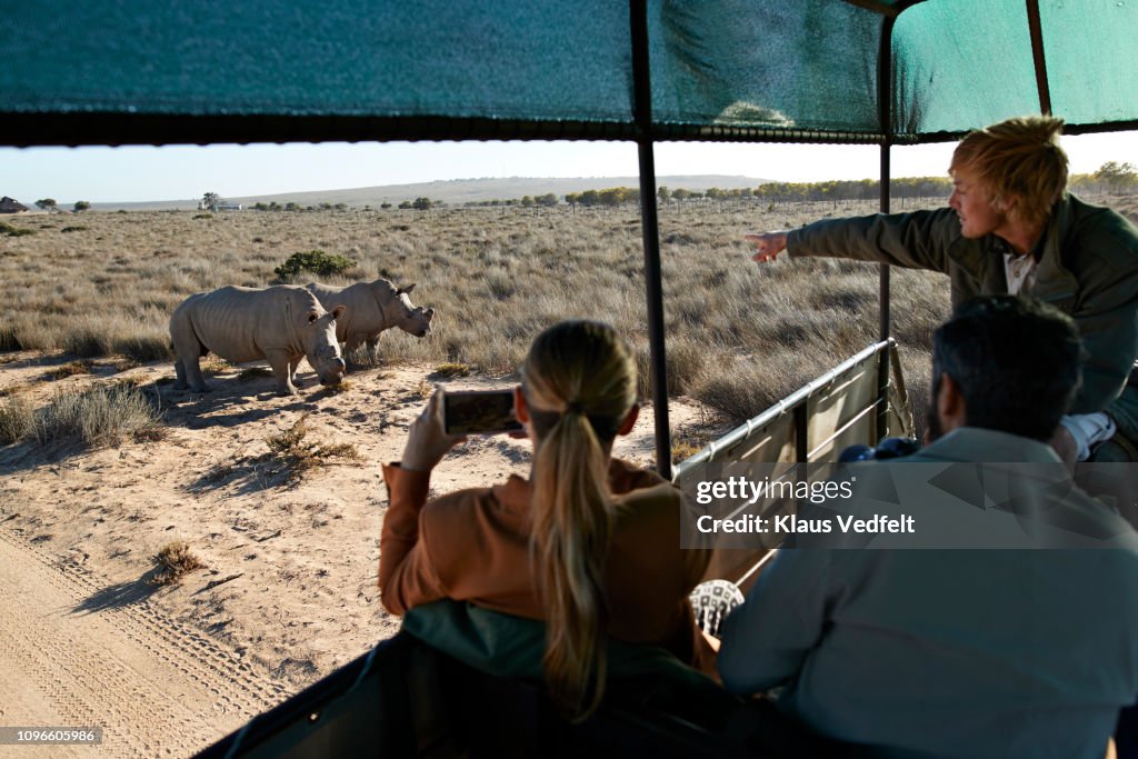 Couple on safari trip with tour guide, taking pictures of rhinos out of 4x4 vehicle