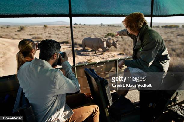 couple on safari trip with tour guide, taking pictures of rhinos out of 4x4 vehicle - southern africa stock pictures, royalty-free photos & images