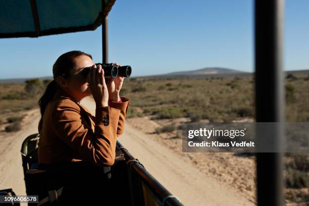 woman watching wild animals with binoculars from safari vehicle - südafrika safari stock-fotos und bilder