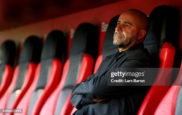 Head coach Peter Bosz of Leverkusen looks on during the Bundesliga match between Bayer 04 Leverkusen and Borussia Moenchengladbach at BayArena on...