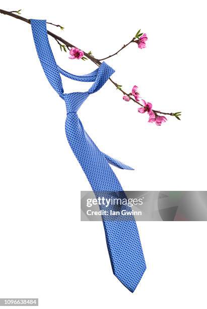 tie on peach blossom branch - ties stock pictures, royalty-free photos & images