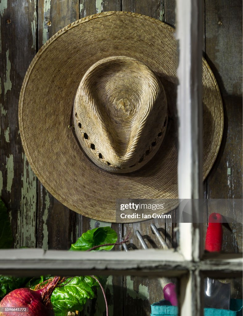 Garden Shed