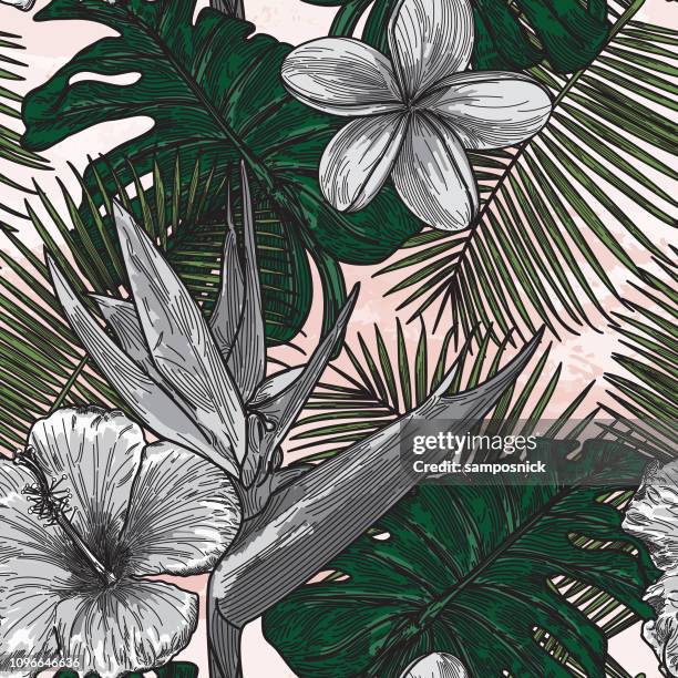 ilustraciones, imágenes clip art, dibujos animados e iconos de stock de patrón floral tropical moderno - diseño tropical