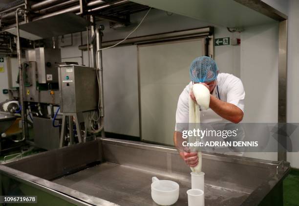 Cheesemaker Radek Bernas squeezes mozzarella into a mould in the dairy at Laverstoke Park Farm near Overton, Hampshire on February 6, 2019. Buffalo...