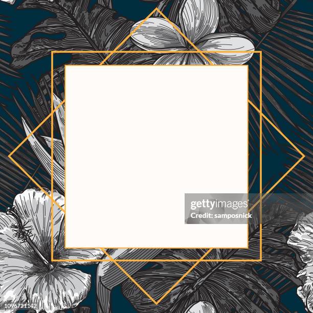 modern tropical plant frame template - bird of paradise stock illustrations