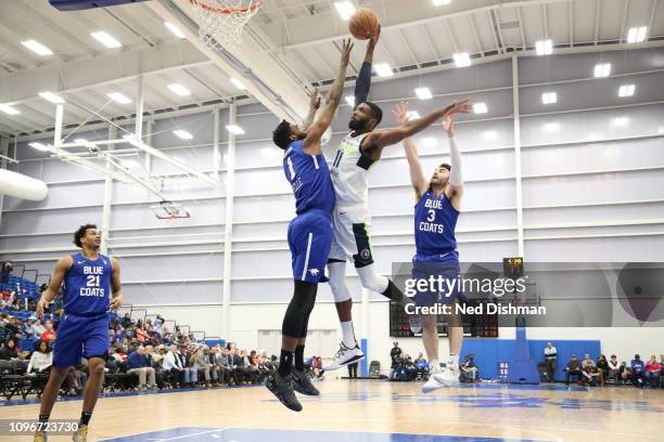 Hakim Warrick of the Iowa Wolves dunks against Norvel Pelle of the Delaware Blue Coats during an NBA G-League game at the 76ers Fieldhouse on...