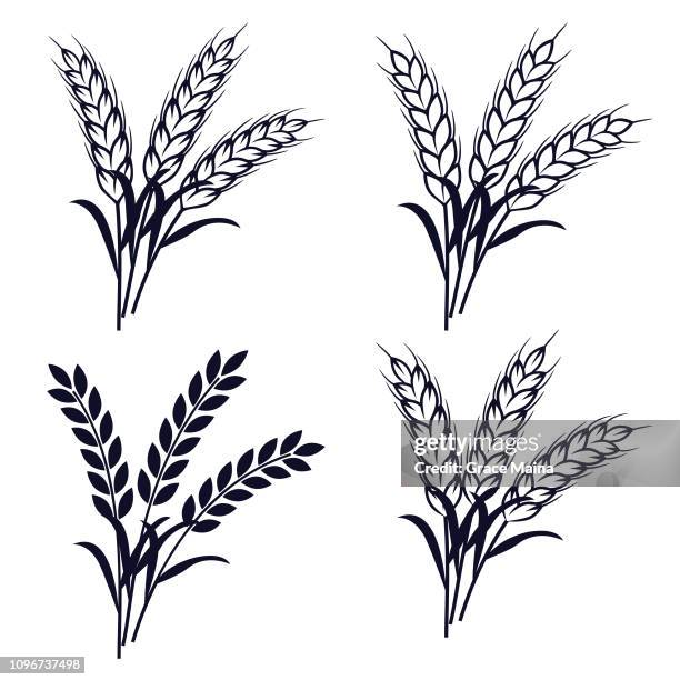 fotos e imágenes de Paquete De Arroz - Getty Images fotos e imágenes de Paquete De Arroz - Getty Images