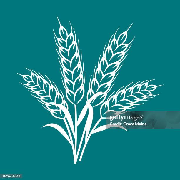 wheat plant ears - vector - bran stock illustrations