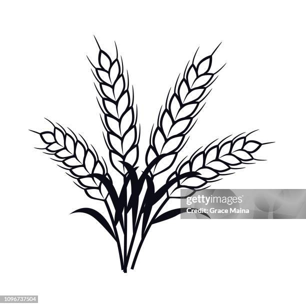 wheat plant ears - vector - bran stock illustrations