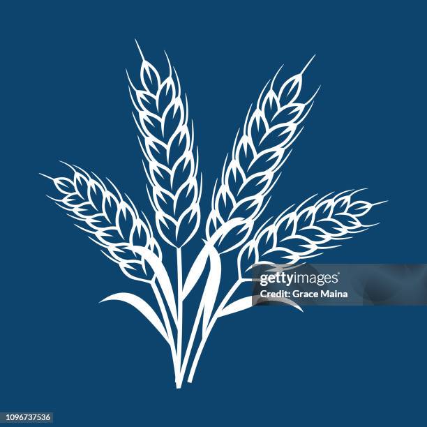 illustrations, cliparts, dessins animés et icônes de blé plante oreilles - vecteur - epi