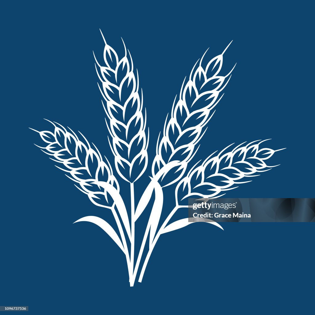 Wheat Plant Ears - Vector