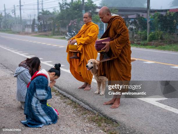due donne thailandesi pagano il tradizionale rispetto culturale, inginocchiandosi e rinunciando a due monaci buddisti thailandesi molto presto la mattina mentre raccolgono cibo su un'elemosina in un piccolo villaggio nel nord della thailandia. - elemosina oggetto religioso foto e immagini stock
