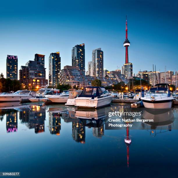 toronto skyline with the cn tower - toronto stock-fotos und bilder